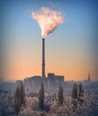 Lignite combined heat and power plant plant