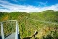 Lignon canyon himalayan bridge, France Royalty Free Stock Photo