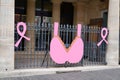 Ligue contre le cancer league against cancer decoration on the gates of the town hall