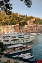 Italy, Europe. Luxury yachts and boats in The beautiful Portofino with colorful houses and villas, in little bay harbor