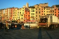 Men working to collect garbage at dawn on the pier of the port overlooking the colored buildings of Portovenere