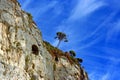 Liguria: view from the cliff island of Palmaria island with rocks trees sky and clouds Royalty Free Stock Photo