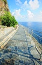 Ligurian coastal path landscape Royalty Free Stock Photo