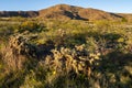 Lihue Calel National Park Sierra Landscape, La Pampa,