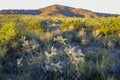 Lihue Calel National Park Sierra Landscape, Royalty Free Stock Photo