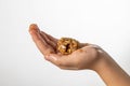 Liittle girl hands preparing oatmeal chocolate chips cookies on isolate white background