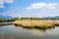 Lijiang Lashi Lake Wetlands is a national natural scenic spot near the city of Lijiang,China. Royalty Free Stock Photo