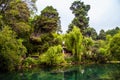 Lijiang Shuhe old town scene- Dragon spring(Longquan) Royalty Free Stock Photo