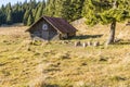 Old shepherd hut in the clearing Stredna polana on the trail to Velky Choc