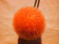 like an orange furry ball Royalty Free Stock Photo