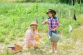 Like what you do. protect nature. Rich harvest. happy farming. spring country side. small girls farmer in village garden Royalty Free Stock Photo