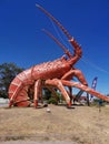 Have the opportunity to eat the natural lobster you caught in Lobster Town Royalty Free Stock Photo