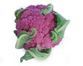 Lila cauliflower Royalty Free Stock Photo