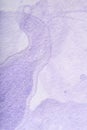 Lilac abstract background, texture paper painted with a pastel purple design Royalty Free Stock Photo