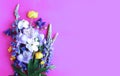 Lilac Alstroemeria flowers and white daffodils are isolated on a bright pink background. Royalty Free Stock Photo