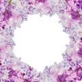 Lilac background