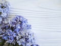 Lilac beautiful on white wooden Royalty Free Stock Photo