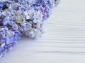 Lilac beautiful on white wooden vintage flora bright fragrant decoration Royalty Free Stock Photo