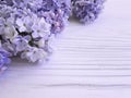 Lilac beautiful on white wooden vintage bright fragrant decoration Royalty Free Stock Photo