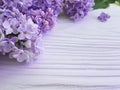 Lilac beautiful on white wooden vintage fragrant decoration Royalty Free Stock Photo