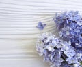 Lilac beautiful on white wooden vintage Royalty Free Stock Photo