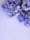 Lilac beautiful on white wooden vintage holiday flora bright fragrant decoration Royalty Free Stock Photo