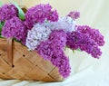Lilac bouquet basket cloth