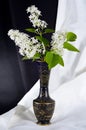 Lilac bouquet black amphora Royalty Free Stock Photo