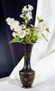 Lilac bouquet black white Royalty Free Stock Photo