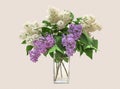 Lilac bouquet in a clear glass vase