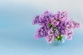 Lilac bouquet in a glass vase. Gift. Congratulation. copyspase