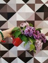 Lilac bouquet held in a red mug against a geometric patterned wall. This image represents spring motifs and decorative natural Royalty Free Stock Photo