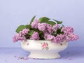 Lilac Bouquet on light violet background Royalty Free Stock Photo