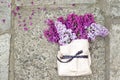 Lilac Bouquet in a paper bag tied with a beautiful ribbon Royalty Free Stock Photo