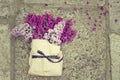 Lilac Bouquet in a paper bag tied with a beautiful ribbon Royalty Free Stock Photo