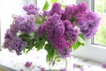 Lilac bouquet in a transparent vase against a window