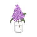 Lilac branch in a glass jar. Lilac flowers with leaves. Spring flowers