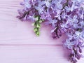 Lilac branch nature decorate on a pink wooden background, frame Royalty Free Stock Photo