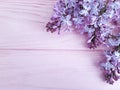Lilac branch nature decorate on a pink wooden background, frame Royalty Free Stock Photo