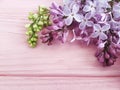 Lilac branch nature decorate summer on a pink wooden background, frame Royalty Free Stock Photo