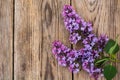 Lilac branch on old gray boards Royalty Free Stock Photo