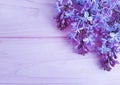 Lilac branch nature spring on a pink wooden background, frame Royalty Free Stock Photo