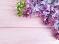 Lilac branch nature decorate season on a pink wooden background, frame Royalty Free Stock Photo