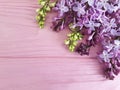 Lilac branch nature blossom on a pink wooden background, frame Royalty Free Stock Photo