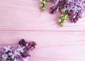 Lilac branch nature on a pink wooden background, frame Royalty Free Stock Photo