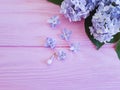 Lilac branch frame bunch bouquet on a pink wooden background