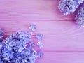 Lilac branch frame decoration bunch bouquet on a pink wooden background Royalty Free Stock Photo