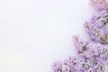 Lilac branch on a white wooden surface. Spring background.