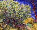 The Lilac Bush by Van Gogh 1889 Royalty Free Stock Photo