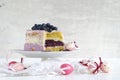 Lilac buttercream cake with blueberries to easter Royalty Free Stock Photo